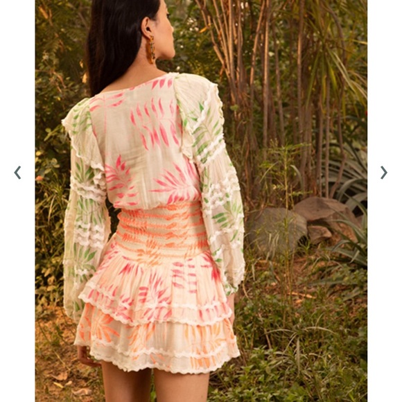 Hemanta & nandita dream dress - Picture 3 of 10